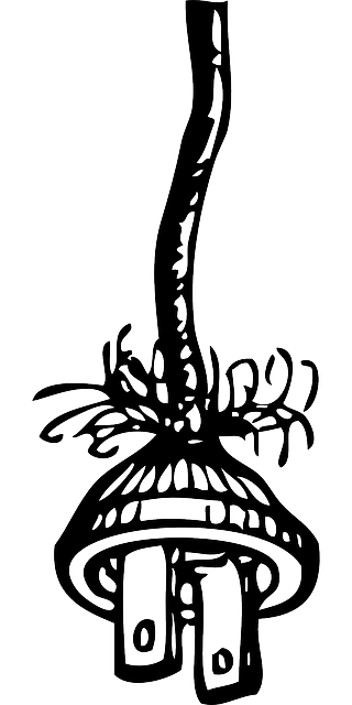 - Jak vybrat správný elektrický příkon pro váš elektrický kotel Protherm