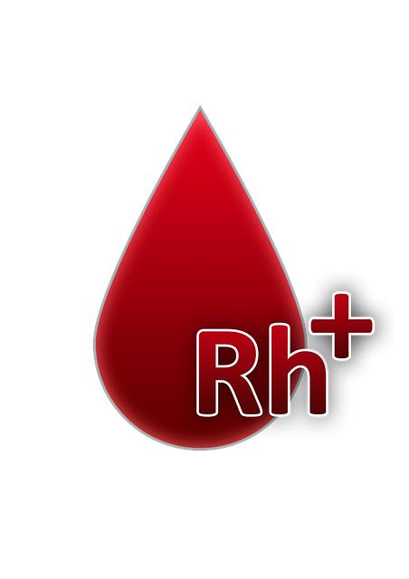 - Faktory ovlivňující nárůst cen briket