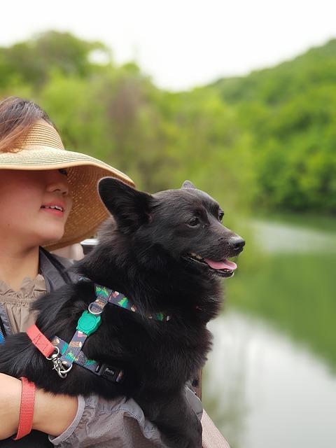 - Prognóza budoucího vývoje cen briket a možné trendy